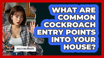 What Are Common Cockroach Entry Points Into Your House? - Insects and Invaders