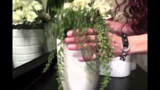 Ayten Sönmez Show, Banyo Dekorasyonu