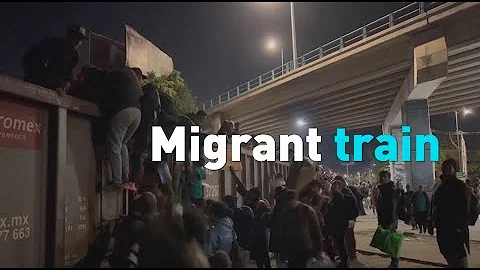 Mexican transportation company halts freight trains migrants use to go north