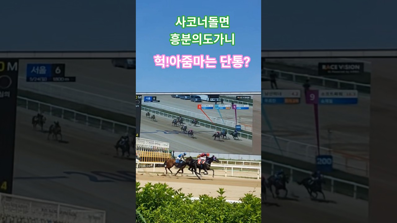 나보다 더잘해^^#경마 #말#달려라말 #shorts