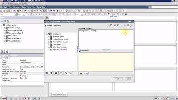 IBM Cognos 10 Report Studio Filter