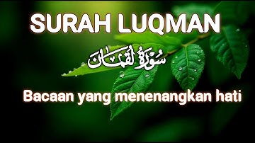 سورة لقمان (كاملة) | هدوء و سكينة 😴❤ | القارئ علاء عقل | Sura-Luqman