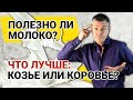 Полезно ли молоко? Что лучше: козье или коровье?