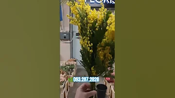 Київ склад квіти декор більше 5000 товарів для флористів в більшості квіти 
