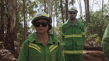 The Planned Burning Process - Forest Fire Management Victoria