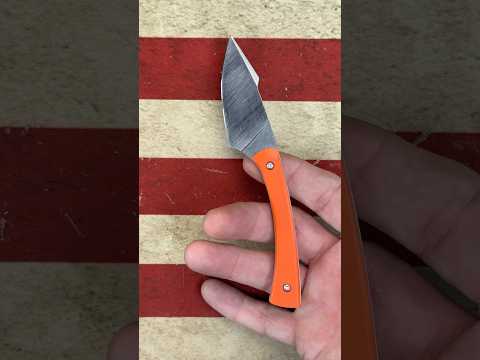 T. Denney - Apprentice Gen 2.    