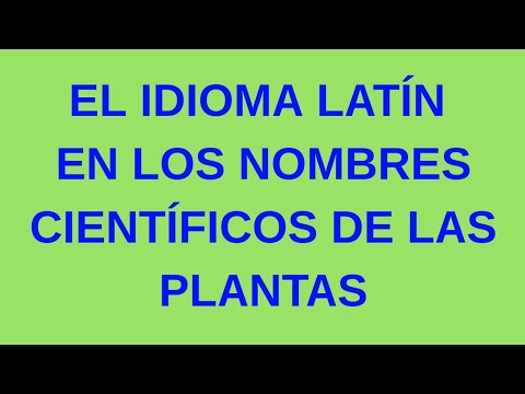 Video: Nombres de plantas en latín - ¿Por qué usamos nombres en latín para las plantas?