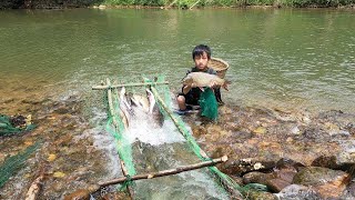 Fish trapping technique, an orphan boy khai blocks streams to make fish traps to sell