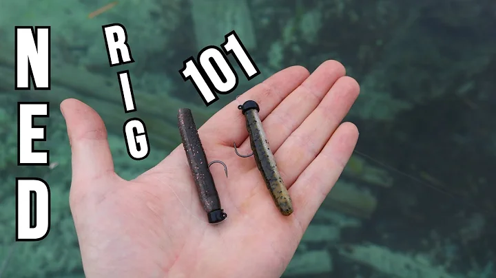 NEVER Used a Ned Rig? WATCH THIS (Ned Rig 101 it C...