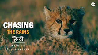 Wild Kenya 3  हिन्दी डॉक्यूमेंट्री | Wildlife documentary in Hindi