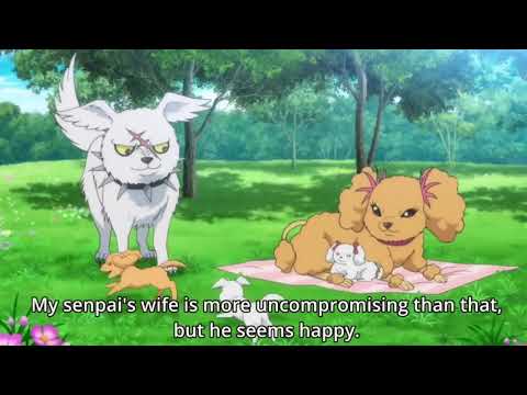 Video [DBL ANIME]-Hozuki's Coolheadedness Best Moments -T69... - youtube