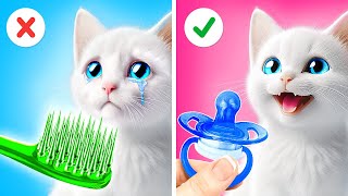 Take Care of Your Kitty 😻 Free Gadgets for Pets