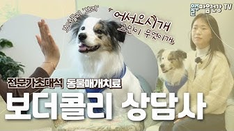 동물매개치료 - Youtube