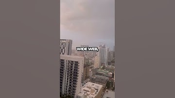 Discover the Secret Whispering Network of Trees Beneath Your Feet!