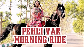 Early Morning Horse Riding Marwari Horse Ride Ghudsawari Ghode Ala Joda Horse Riding