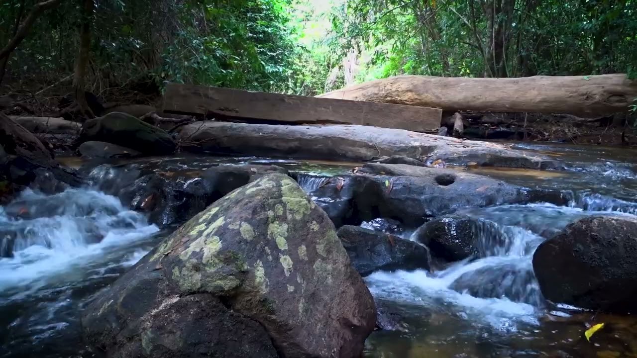 Let Go of Stress | Flowing Stream & Relaxing Piano Music