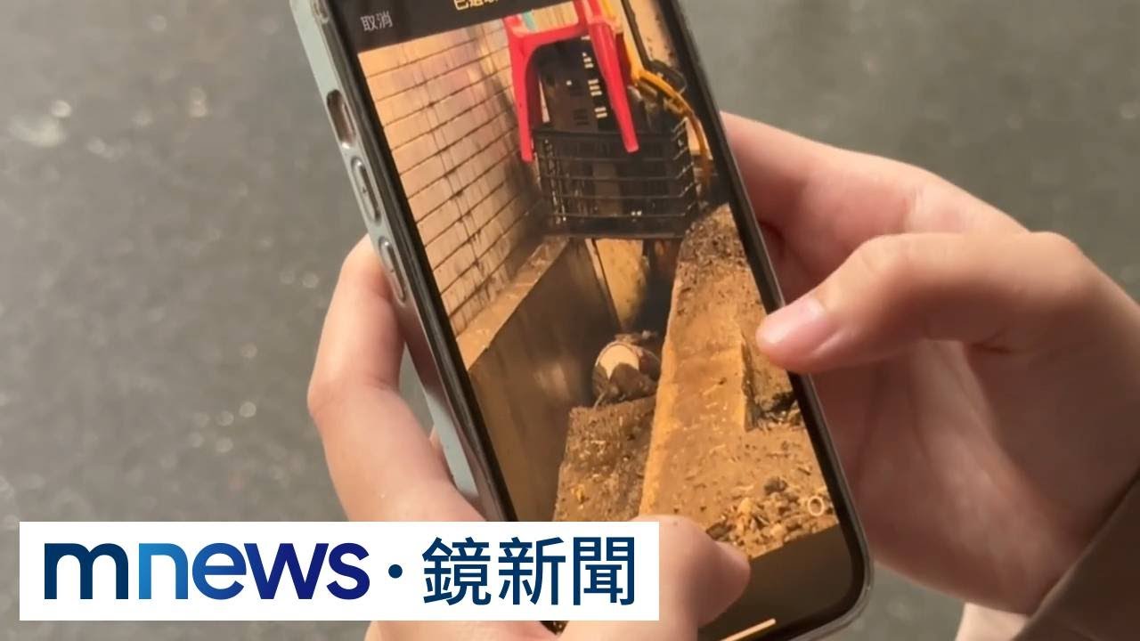 獨家／遭嗆是青鳥「老鼠雷達」！　「見鼠地圖」開發者揭3驗證手法｜#鏡新聞