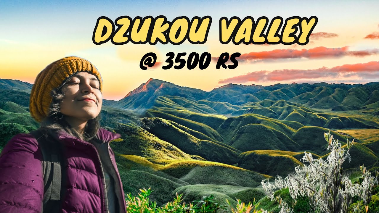 Dzukou Valley Trek Full Guide | How I Did It in 3500 Rs. (Nagaland Vlog)