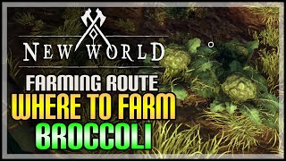 New World Broccoli Locations