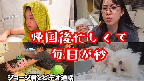 帰国後忙しくて毎日が秒