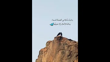 وطرت بأحلامي إلى السماء Dreams Trending اكسبلور Funny 
