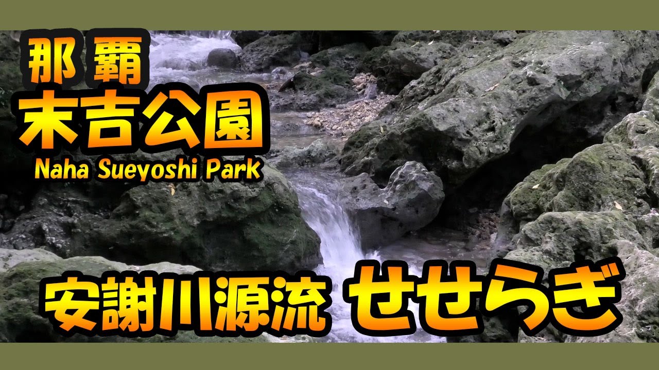 那覇 首里末吉公園 安謝川源流のせせらぎ Naha Sueyoshi Park Okinawa Youtube