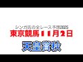 11月2日東京競馬【全レース予想】2025天皇賞秋
