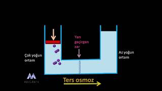 Osmoz ve ters osmoz-Kimya animasyon