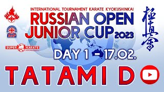 «Russian Open Junior Cup - 2023». ТАТАМИ D (1 день)