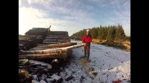 Stihl Ms 150 muffler mod