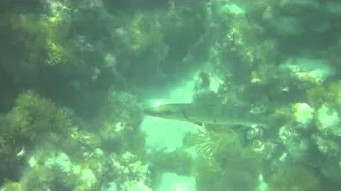 Florida Spring Break 2013