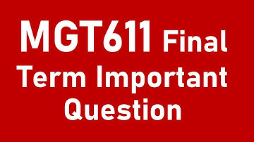 MGT611 Final Term Preparation Important Questions-