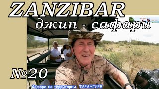 Сафари в Танзании с Занзибара. Трейлер - джип-сафари в лучший  национальный парк ТАРАНГИРЕ (Африка)!