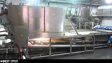 Warm water shrimp sorting machine Genius - TOMRA Sorting