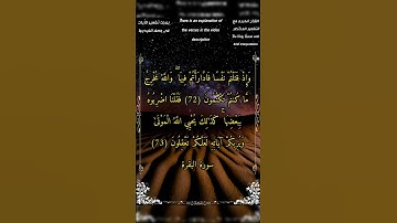 وإذ قتلتم نفساً فادارأتم فيها - سورة_البقرة - الشيخ_أحمد_بن_طالب_حميد #أحمد_طالب