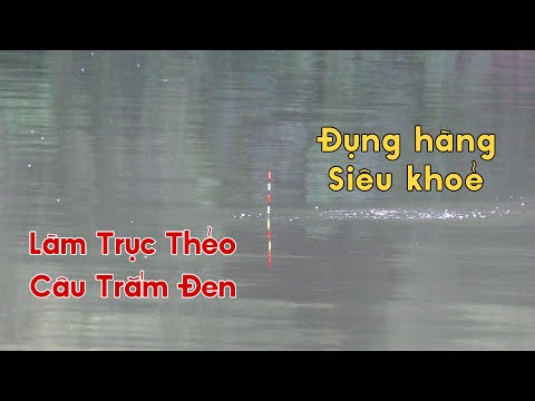 Cách Làm Trục Thẻo Câu Cá Trắm Đen Đụng Hàng Tự Nhiên Siêu Khoẻ