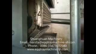 3600-4000pcs/h paper egg carton machine high quality