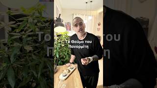 Το Θαύμα του Πανορμίτη: Ένα Ταξίδι Ψυχής στη Σύμη | Memories of Flavors