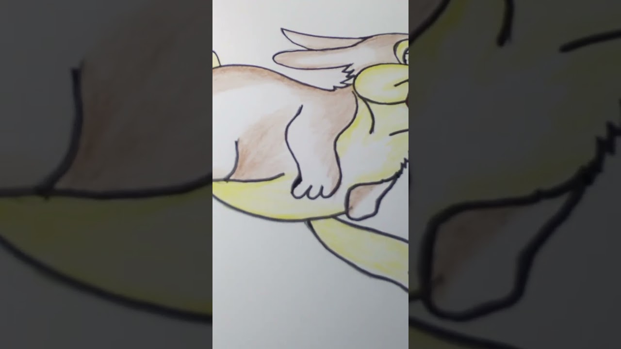 How to draw a rabbit 