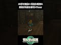 外出た瞬間終わる初心者リンクｗｗ【ゼルダの伝説 ティアーズ オブ ザ キングダム】