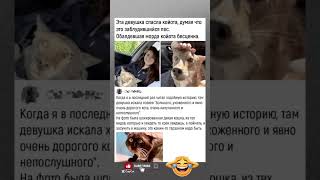 Шок на морде 😆👍#юмор #мем #жиза