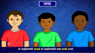 6th Science | Chapter#08 | Topic#05 | त्वचा | Marathi Medium