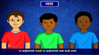6th Science | Chapter#08 | Topic#05 | त्वचा | Marathi Medium