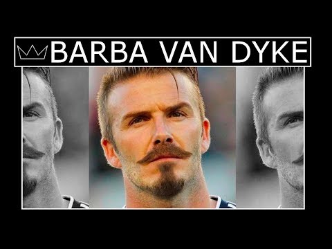 Vídeo: Como fazer crescer uma barba Van Dyke: 11 etapas (com fotos)