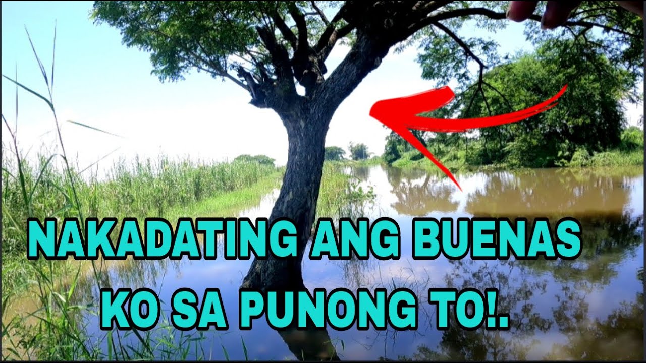 NASA DAANAN NA NG TAO DUMADAAN ANG ISDA? /Airgun Fishing /Fishgunerong Madiskarte