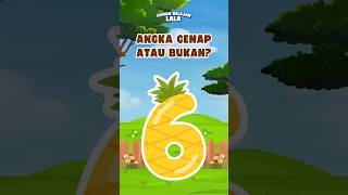💡 Tebak Angka Genap | Belajar Bersama Lala