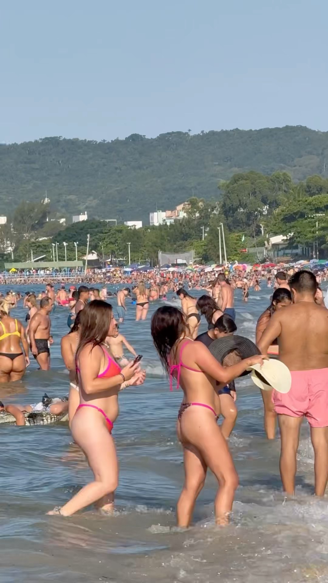 ?? Florianopolis Beach Summer