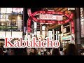 The Most Dangerous Area in Tokyo - Kabukicho