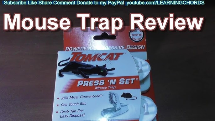 BEST CLASSIC MOUSE TRAP - Tomcat Press 'N Set Mouse Trap - Review