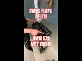 Save your BMW diesel - delete the swirl flaps!